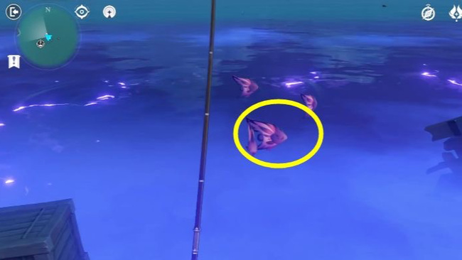 原神雷鸣仙怎么钓_如何在原神游戏中钓到雷鸣仙