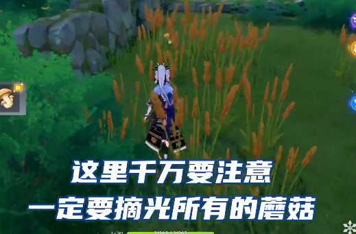 原神稻妻销售员隐藏成就怎么解_稻妻销售员中的隐藏成就解密指南