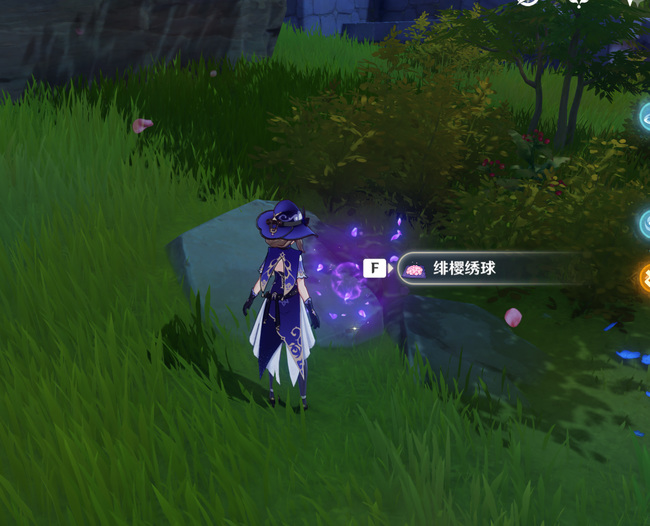 原神樱花怎么收集_如何收集原神樱花