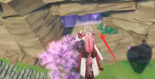 原神鸣神大社下面的山洞怎么进_原神探索鸣神大社的神秘山洞入口方法