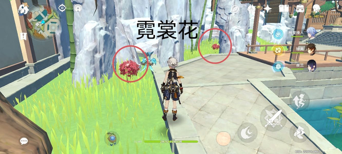 原神的霓裳花在哪里采集_原神手游 霓裳花采集位置指南