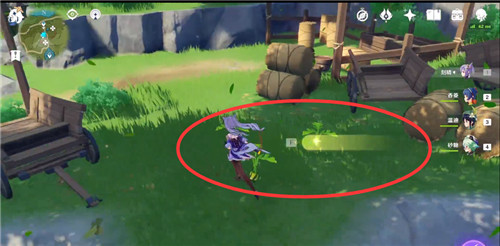 原神料理对决白萝卜在哪里_原神中白萝卜料理对决的地点在哪里