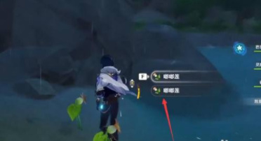 原神嘟嘟莲位置在哪里_原神嘟嘟莲位置查询