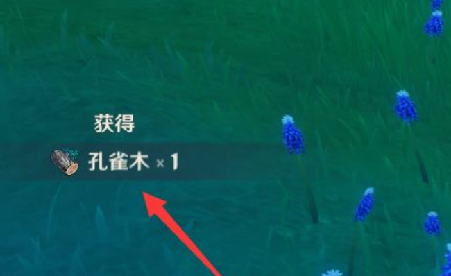 原神孔雀木在哪采集_原神孔雀木采集地点