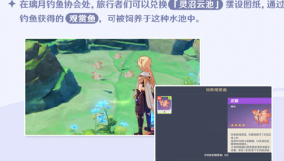 原神观赏鱼怎么获得_原神手游获取观赏鱼的方法