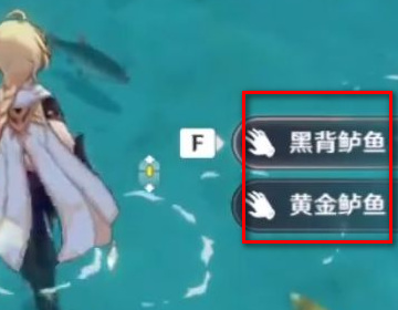 原神四星鱼怎么不见了_原神手游四星鱼为什么消失了