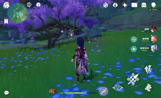 原神神里突破材料绯樱绣球怎么采