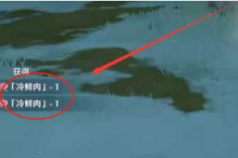 原神冷鲜肉在哪获得_原神冷鲜肉获得位置在哪