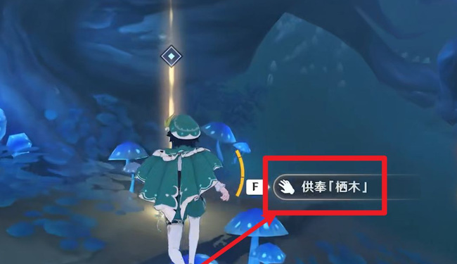 原神怎么供奉栖木_原神如何供奉栖木