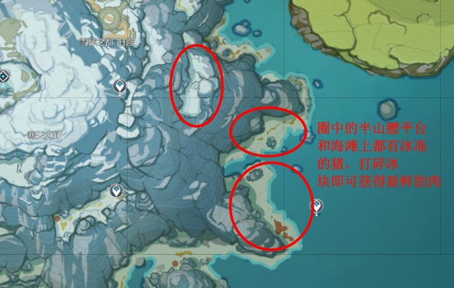 原神新鲜的肉在哪里_原神新鲜肉在哪儿