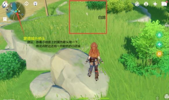 原神小动物在哪里