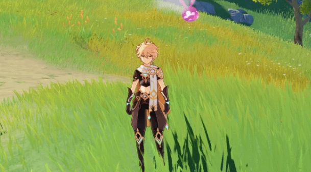 原神兑换哪个仙灵好_原神兑换仙灵新选择