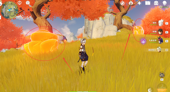 原神琥珀石原神在哪_原神琥珀石的获取位置及攻略指南