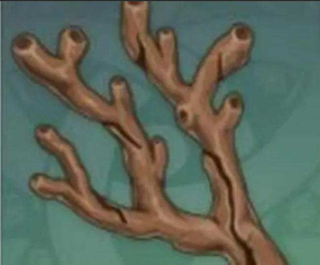 原神远海夷地的瑚枝哪里买