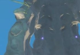 原神蛇神之首鲸井小弟手鞠位置在哪_原神鲸井小弟手鞠位置查询指南