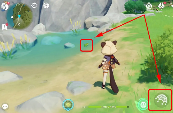 原神为什么抓不了青蛙_原神手游为何不能捕捉青蛙