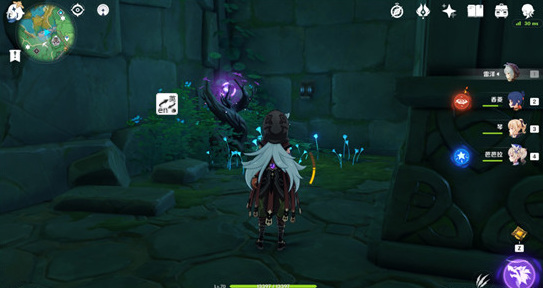 原神蛇头开门顺序是什么_原神蛇首开门顺序攻略