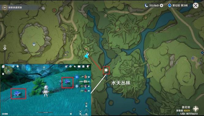 原神手游水天丛林树王圣体菇采集路线怎么走_原神手游新版本水天丛林树王圣体菇采集指南