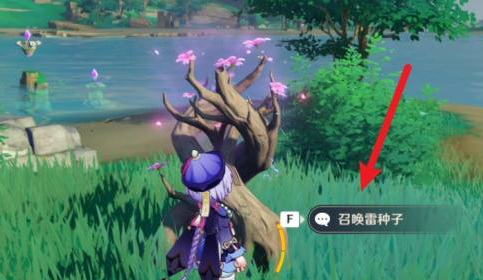 原神稻妻大炮怎么激活