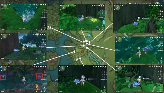 原神手游水天丛林树王圣体菇采集路线怎么走