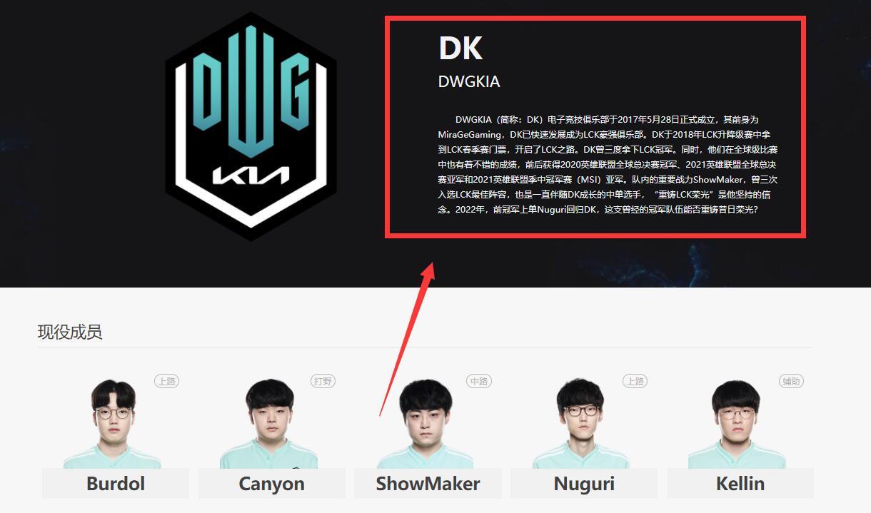 英雄联盟dk是哪个战队