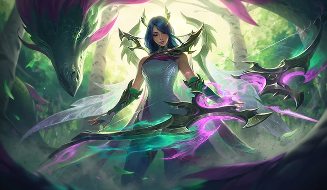 lol电四是哪个区