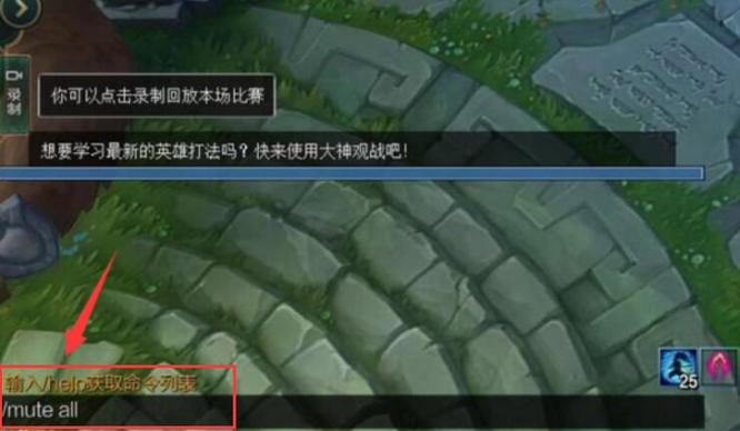 lol怎么禁言对方_如何在英雄联盟中禁言对手