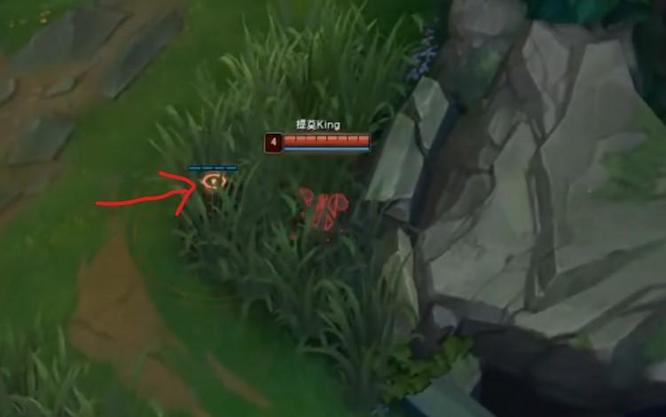 提莫在草丛真眼能看到吗