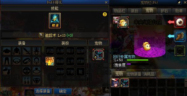 地下城与勇士宠物加到buff换装不加等级怎么解决