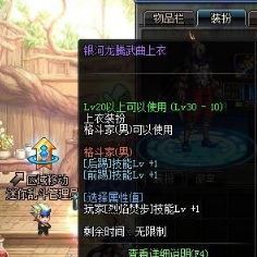 地下城与勇士100级武极上衣选什么技能