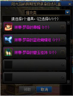 地下城与勇士110阳光岛屿宠物装备可以给其他宠物用吗