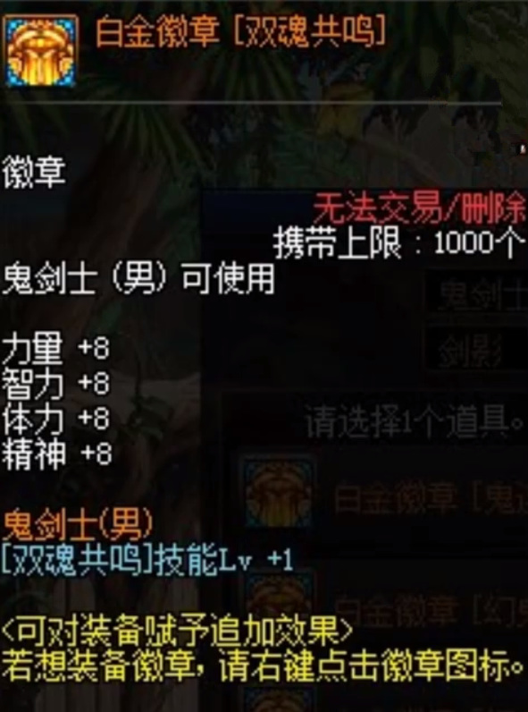 dnf110级版本剑影梦想白金徽章选什么