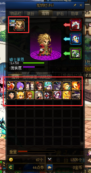 DNF110版本孵化宠物都有哪些