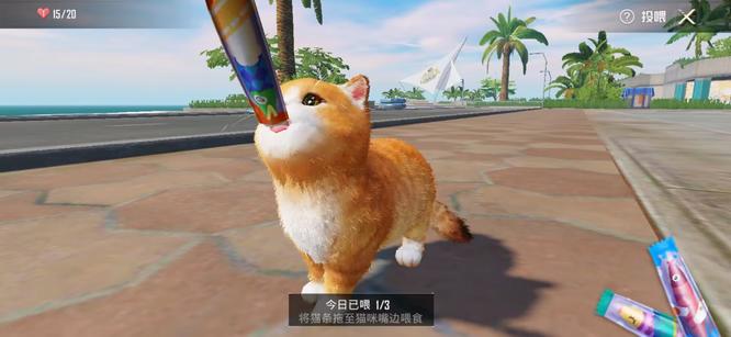 和平精英手游家园哪只猫好看