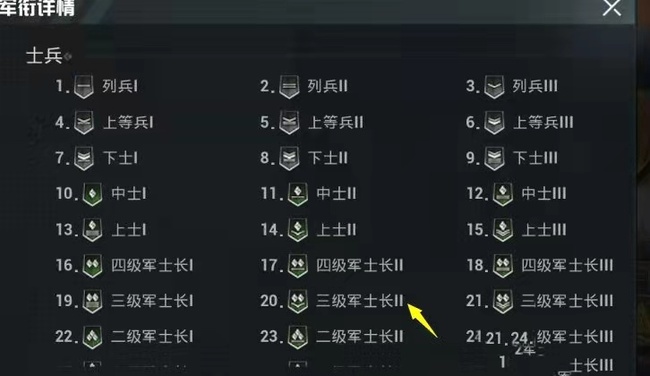 和平精英手游等级怎么看_和平精英等级评价及解读