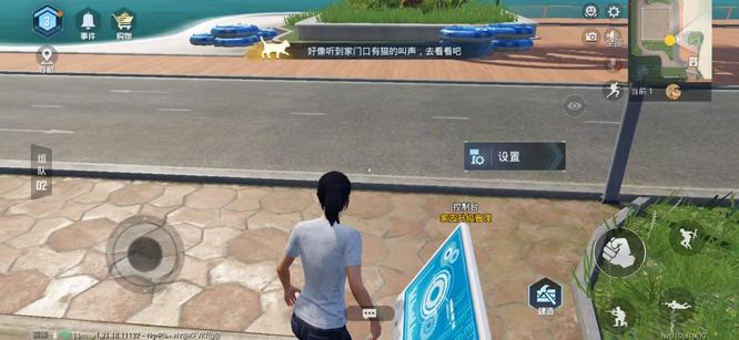 和平精英手游养猫在哪_和平精英中养猫指南