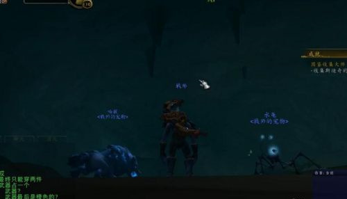 wow图鉴收集大师成就怎么做_魔兽世界图鉴收集成就攻略