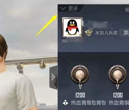 和平精英手游等级怎么看_和平精英等级评价及解读