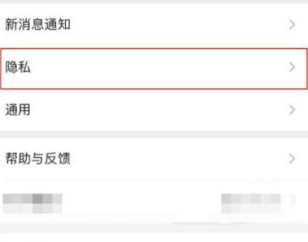和平精英手游怎样设置隐身状态