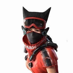 和平精英手游火狐专家稀有吗