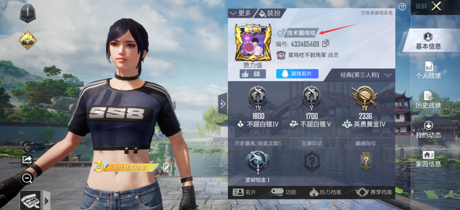 和平精英手游历史名字可以查吗_如何在和平精英中查询历史名字