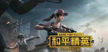 和平精英手游火狐专家稀有吗_和平精英游戏中火狐专家算不算稀有