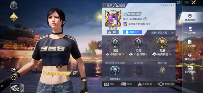 和平精英手游如何定位到其它地区_和平精英扩展到其他地区