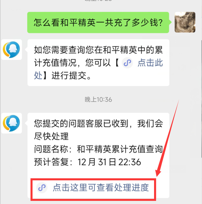 怎么看和平精英手游一共充了多少钱_和平精英玩家的总充值金额