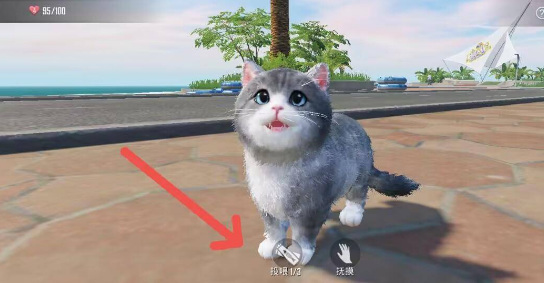 和平精英手游家园怎么给猫喂食物_和平精英如何给猫提供食物