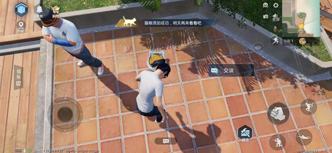 和平精英手游养猫在哪_和平精英中养猫指南