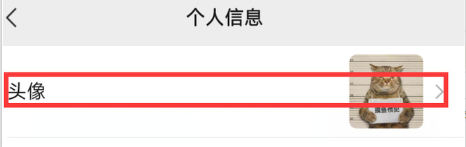 和平精英手游怎么改头像_改头像如何在和平精英中实现