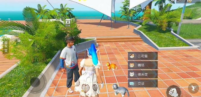 和平精英手游怎么领猫宠物_领取和平精英猫宠物攻略