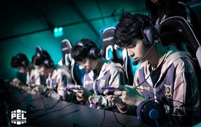 和平精英手游月洋是职业选手吗