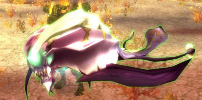 wow生存猎人带什么宝宝好